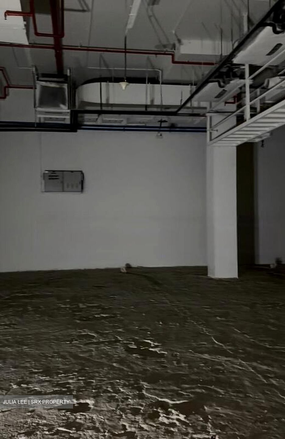 PS100 (D2), Retail #457290081